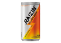 ブレイブフロンティア_670円でローソンタイアップの幼魔を入手する方法_018_RAIZIN